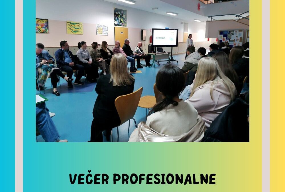 Večer profesionalne orijentacije