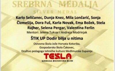 Srebrna medalja za ŠtikUp – kreativnost koja povezuje generacije